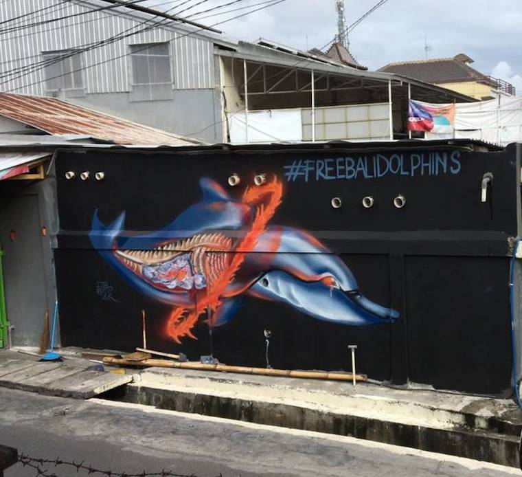 dolphin street art