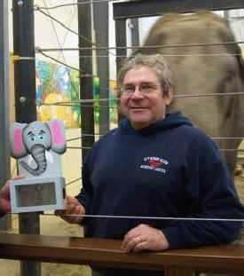 circus elephant
