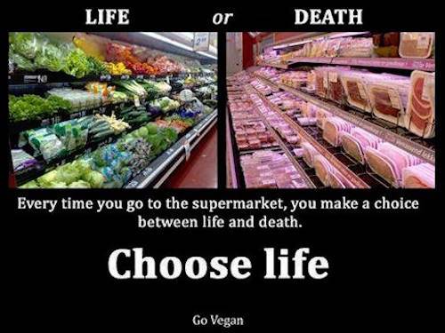 choose life or death