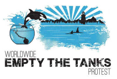 empty tanks orca whales