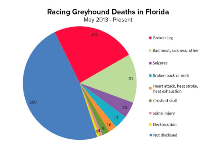 greyhound racing deaths