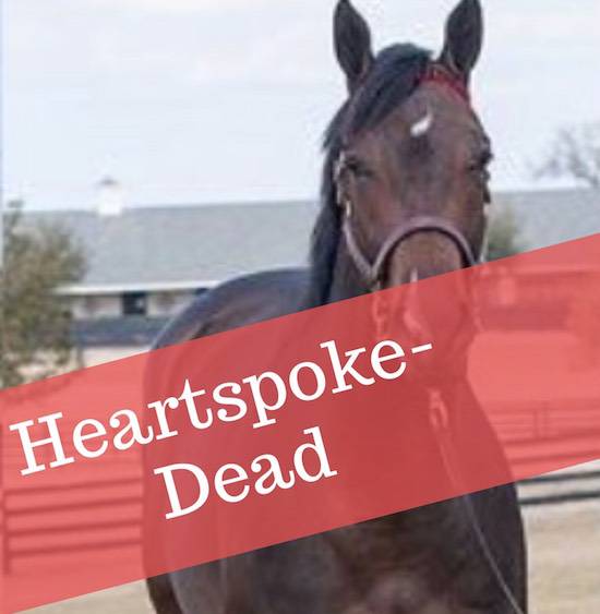 dead racehorse