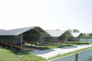 fur farmers attack activists