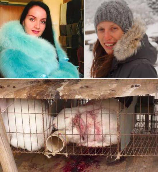 fur cruelty