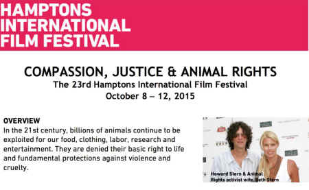 film festival