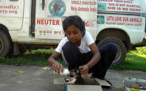 animals India rescue