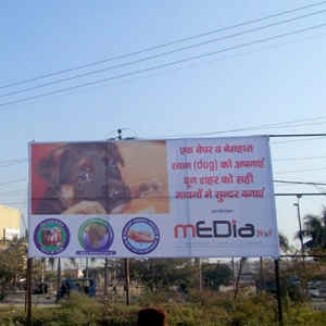 animals India rescue