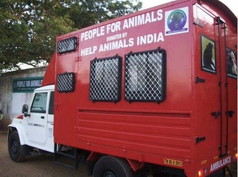 animal ambulance