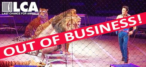 ringling circus closing