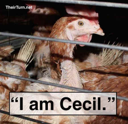 I am Cecil