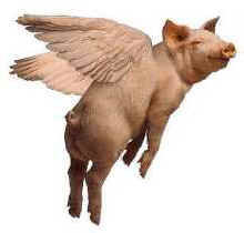flying pig