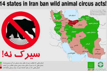 Iran bans circus animals