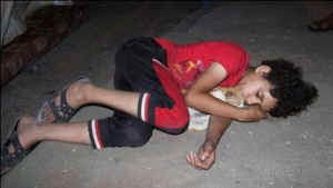 Israel-Gaza cat