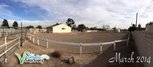 Las Vegas sanctuary Paul Graham
