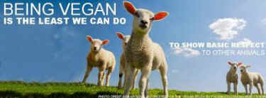 nonvegans veganism