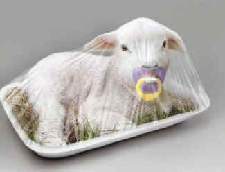 sealed lamb