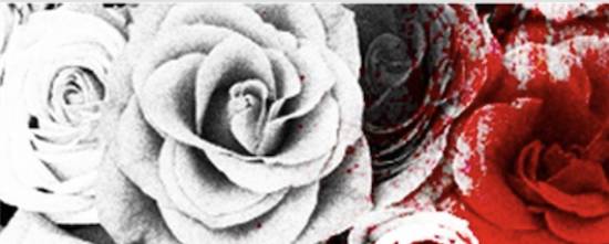 bloody roses