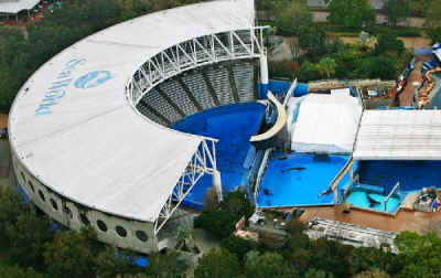 Seaworld dolphin