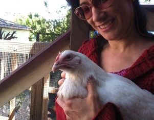 Michael Pollan chicken sentience
