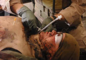 military live animals