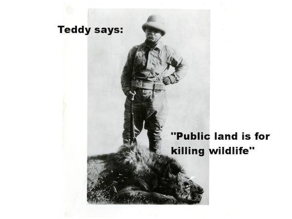 theodore roosevelt hunter