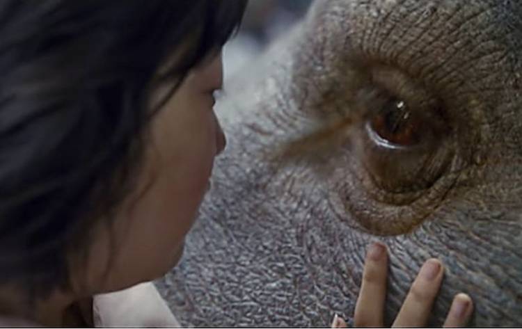 okja