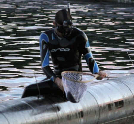 open rescue salmon