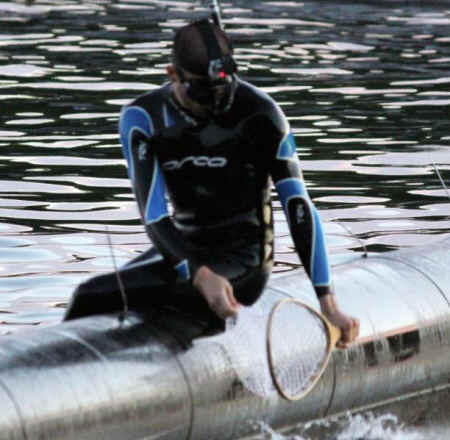 open rescue salmon