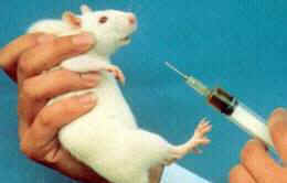 vivisection cruel useless