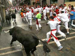 pamplona bullfight