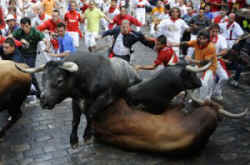 pamplona bullfight