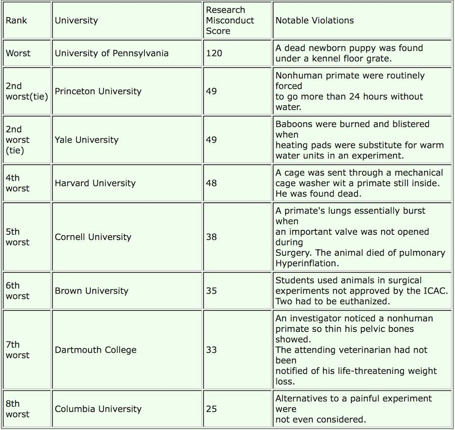 animal welfare act violations