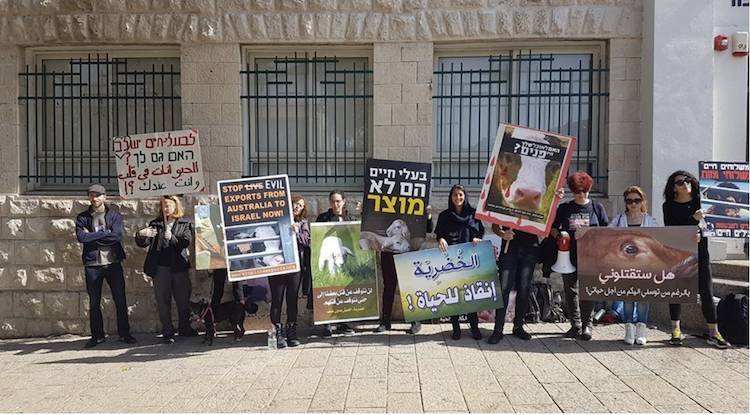 arabic hebrew protest