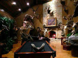 rhino Safari auction