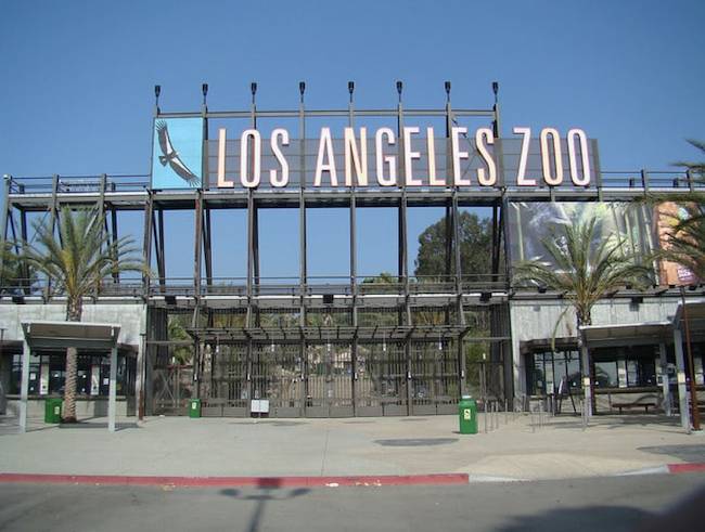 los angeles zoo