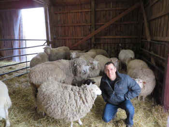 sanctuary farmed animals