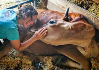 sanctuary farmed animals