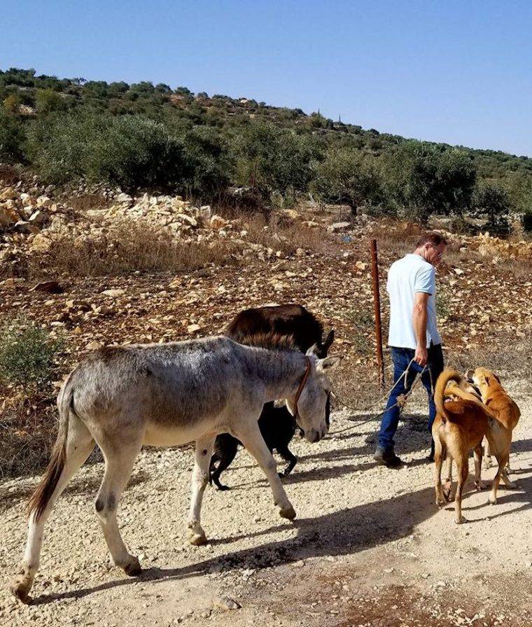 palestine animals