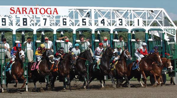 saratoga racehorses die