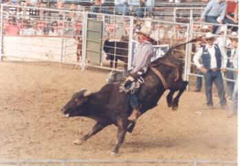rodeo cruelty