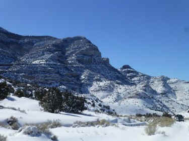 Swasey wild horse roundup BLM