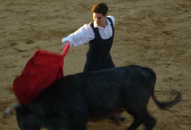 speciesism discrimination