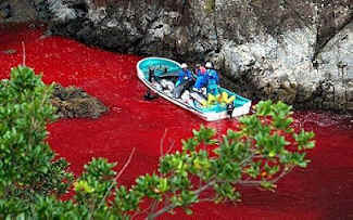 speciesism, discrimination, sentience