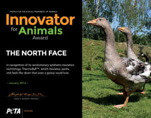 goose duck down Thermoball