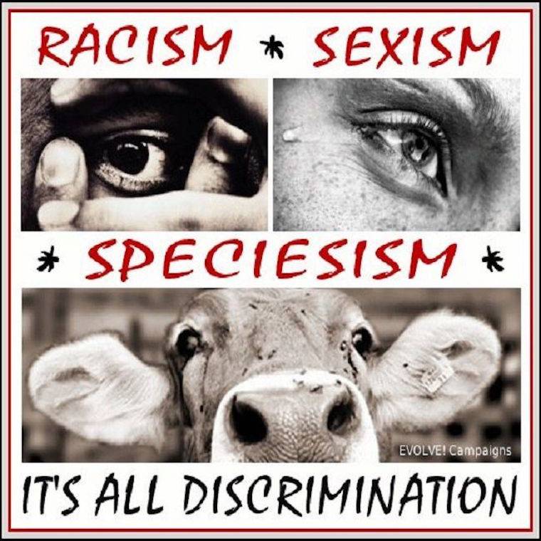 speciesism