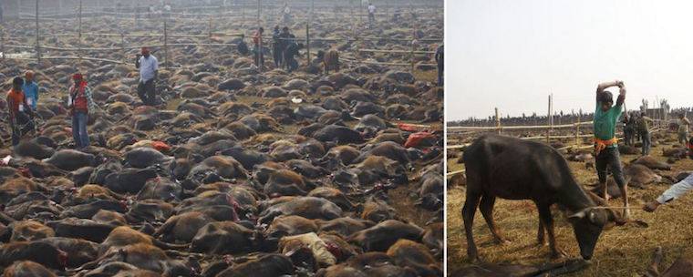 ritual mass killing