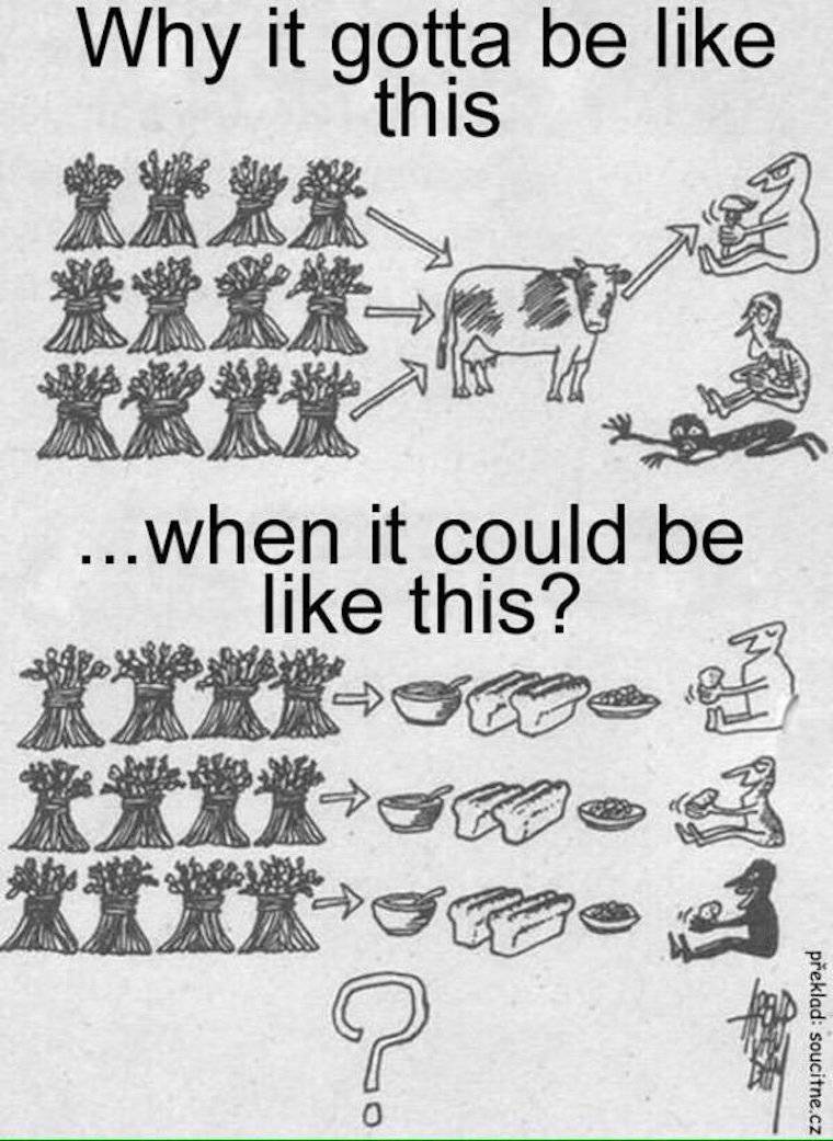 food for humans