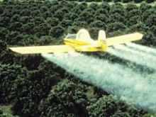 kill birds pesticides chickens