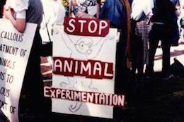 stop vivisection