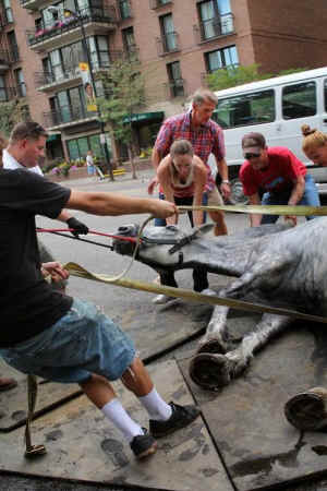 carriage horse right to be utilitarian